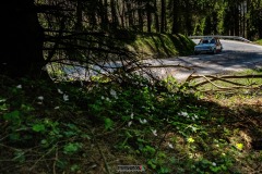 679398790_969857905568844_7757565952639807161_n