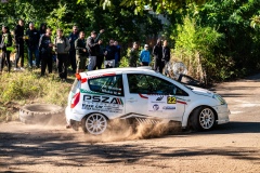 psza_2025_12_oroszlany_szabo