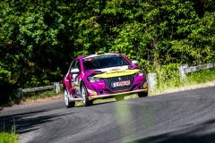 psza_2025_11_oroszlany_beharangozo_02