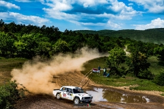 psza_rally_hungary_2025_005