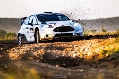 psza_rally_hungary_2025_006