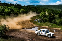psza_rally_hungary_2025_012