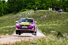 psza_rally_hungary_2025_052