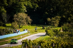 papp_nova_gorica_2025_017