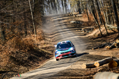 psza_salgo_2022_0039