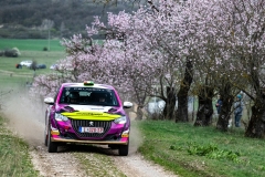 zagyva_dorka_veszprem_rallye_2026_019