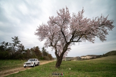 psza_veszprem_rallye_2026_035