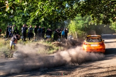 psza_oroszlany_2025_050