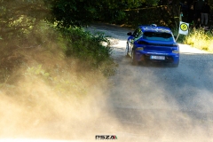 psza_oroszlany_2025_054